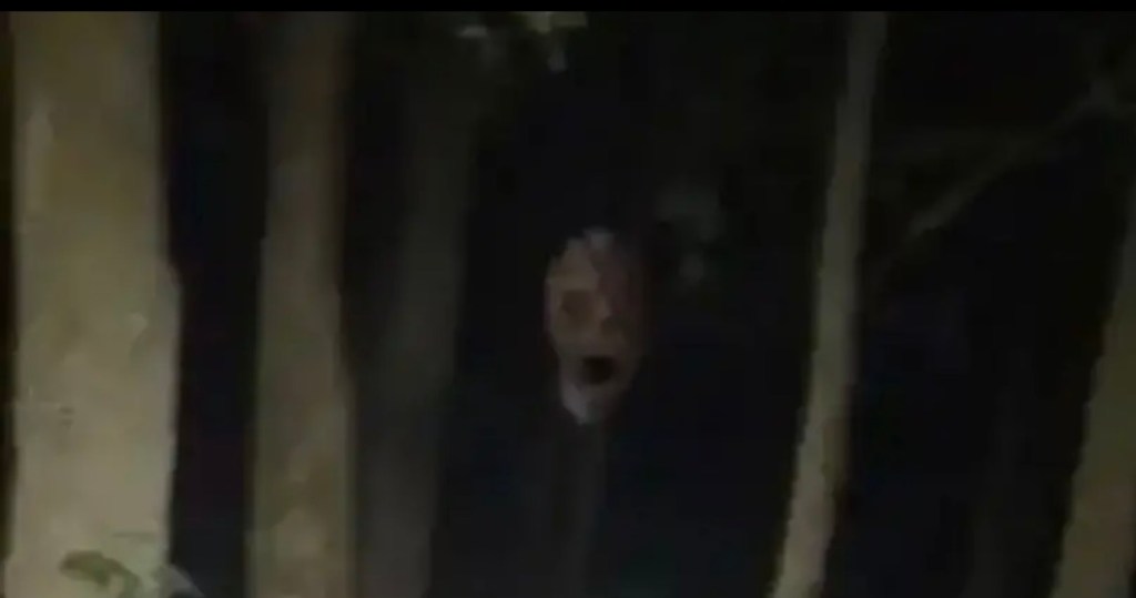 Absurdist Melancholy in Modern Media