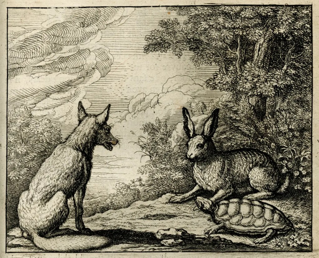 Tortoise and the&nbsp;Hare